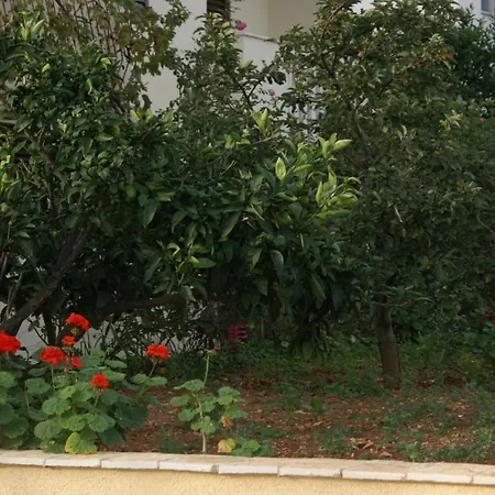 With Parking Space Supetar, Brac - 2845